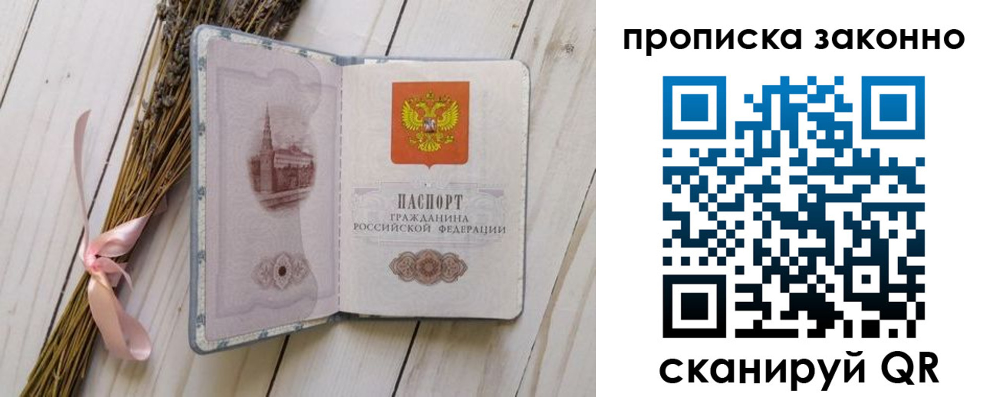 где прописаться в Кандалакше